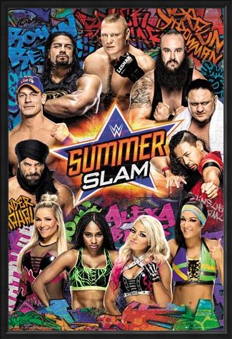 Framed Framed Summerslam - WWE