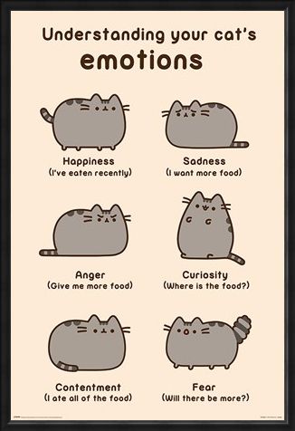 Framed Framed Cats Emotions - Pusheen