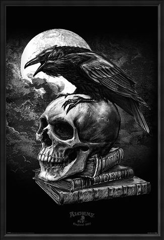 Framed Framed Poe's Raven - Alchemy