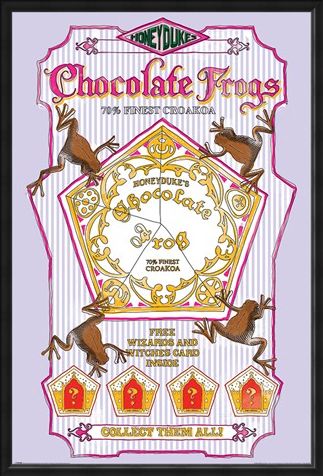 Framed Framed Honeydukes Chocolate Frogs - Harry Potter