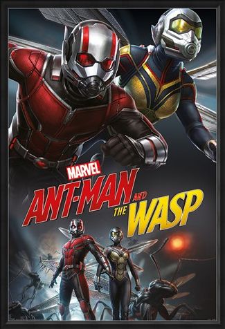 Framed Framed Ant-Man and The Wasp Dynamic - Marvel