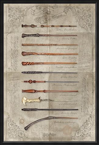 Framed Framed The Wand Chooses The Wizard - Harry Potter