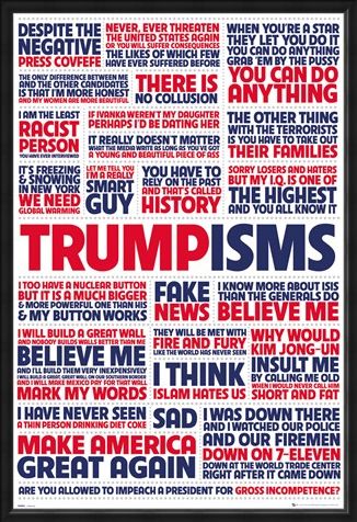 Framed Framed Trumpisms - President Trump