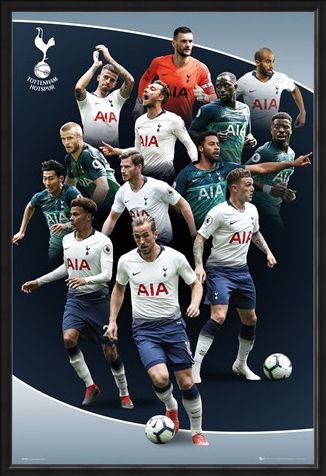 Framed Framed Players 18-19 - Tottenham Hotspur