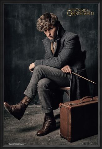 Framed Framed Newt Scamander - Fantastic Beasts 2