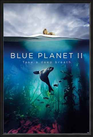 Framed Framed Take A Deep Breath - Blue Planet 2