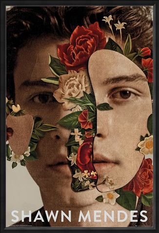 Framed Framed Flowers - Shawn Mendes