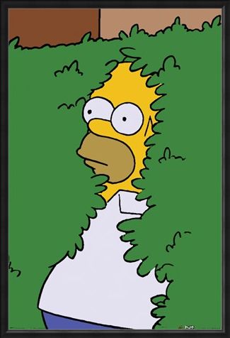 Framed Framed Homer Bush - The Simpsons