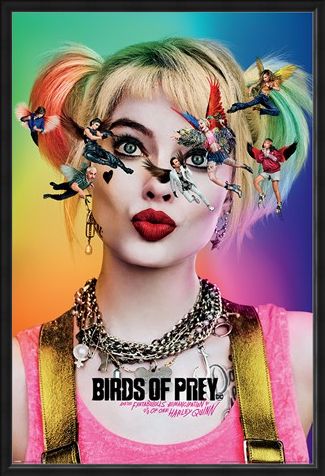 Framed Framed Seeing Stars - Birds Of Prey