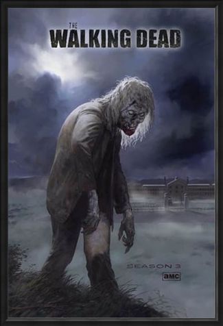 Framed Framed Flesh Eating Walker! - The Walking Dead
