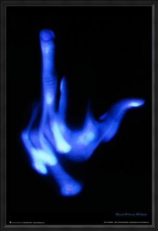 Framed Framed The Finger - David Wilhelm