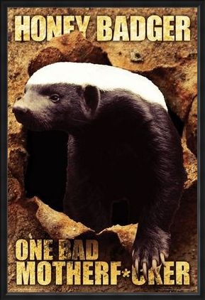 Framed Framed One Bad Mother F*cker - Honey Badger
