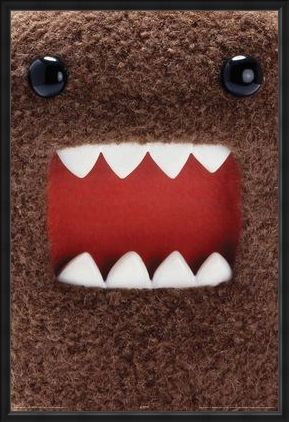Framed Framed Extreme Close Up - Domo