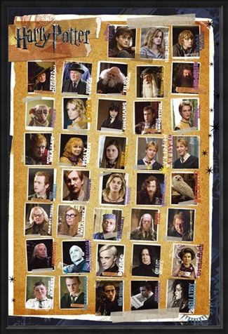 Framed Framed Character Montage - Harry Potter