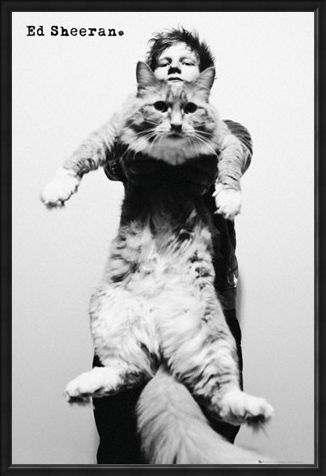 Framed Framed Fat Cat - Ed Sheeran