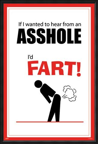 Framed Framed If I Wanted To Hear From An Asshole - I'd Fart