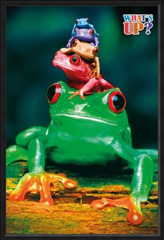 Framed Framed What's Up? - Five Frog Pyramid