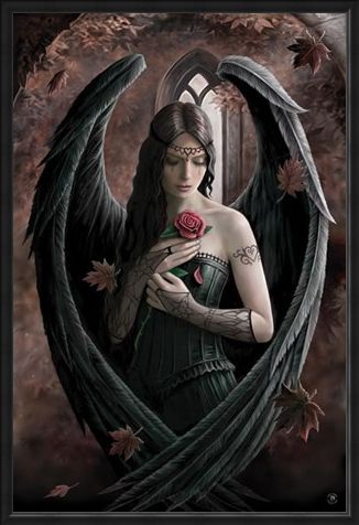 Framed Framed Angel Rose - Anne Stokes