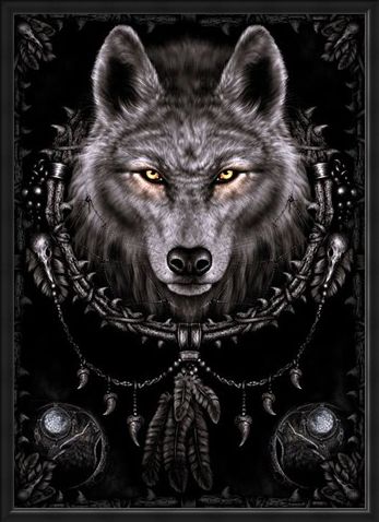 Framed Framed Wolf Dreams - Spiral