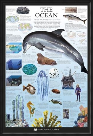 Framed Framed The Ocean - Dorling Kindersley