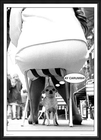 Framed Framed Ay-Carumba - Dog Under Chair