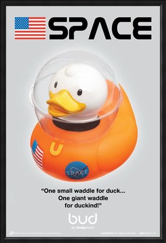 Framed Framed Space Duck - Bud Ducks