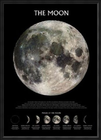 Framed Framed Phases of the Moon - The Moon