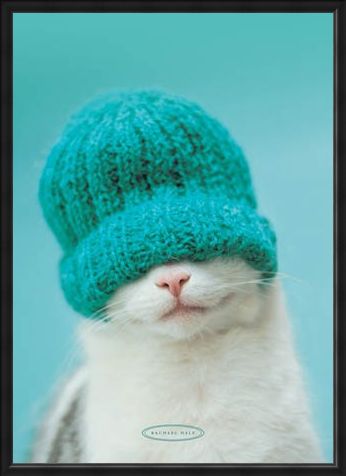 Framed Framed Guiness the Cat and Hat - Rachael Hale