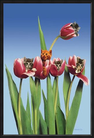 Framed Framed Kittens in Tulips - Cute Little Kittens