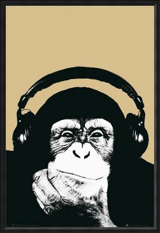 Framed Framed Monkey with Headphones - Steez