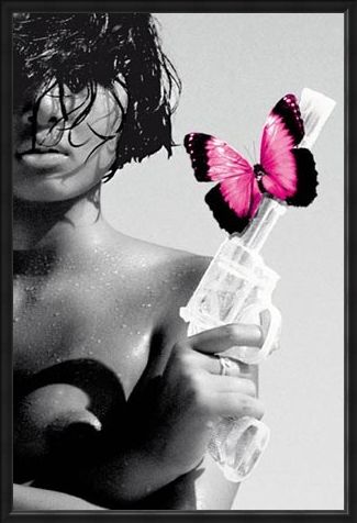 Framed Framed Killing me Softly - Dangerous Diva