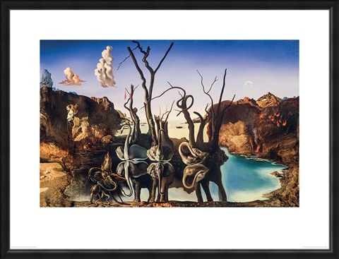 Framed Framed Swans Reflecting Elephants - Salvador Dali