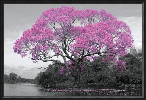 Framed Framed Tree In Bloom - Natural Pink