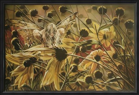 Framed Framed Chameleon Fairy - Sheila Wolk