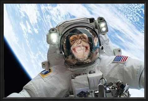 Framed Framed Out Of This World - Cheeky Chimp