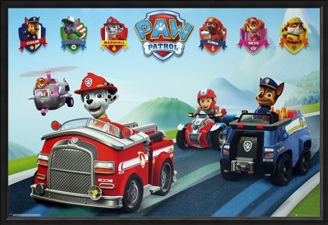 Framed Framed Puppy Vehicles - Paw Patrol