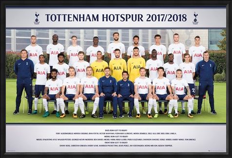 Framed Framed Photo 17-18 - Tottenham Team