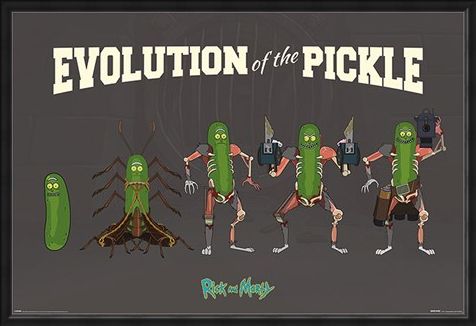 Framed Framed Evolution Of The Pickle - Rick and Morty