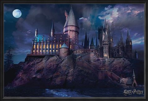 Framed Framed Hogwarts - Harry Potter