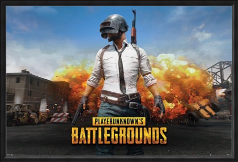 Framed Framed Playerunknown - PUBG
