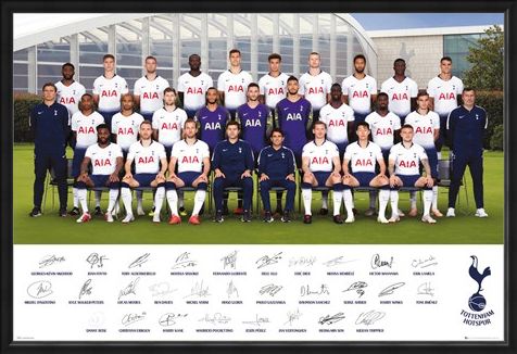 Framed Framed Team Poster 18-19 - Tottenham Hotspur
