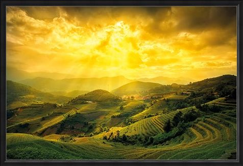 Framed Framed Rice Fields Of Yên Bái - Mountain Masterpiece