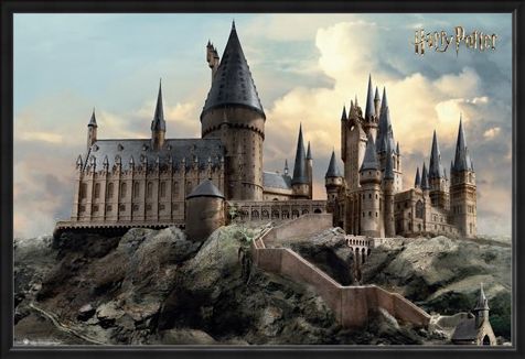Framed Framed Hogwarts Day - Harry Potter