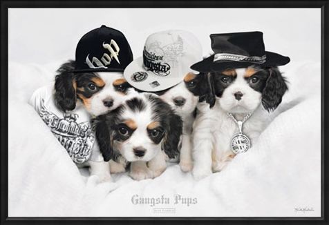 Framed Framed Gangsta Pups - Keith Kimberlin