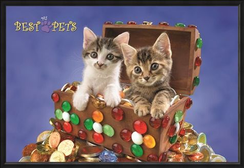 Framed Framed Kitten Treasure - My Best Pets