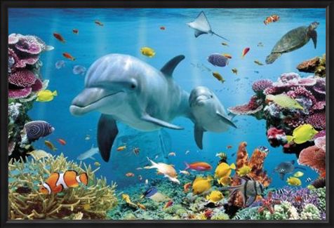 Framed Framed Underwater Dolphin Fantasy - Tropical Dolphins