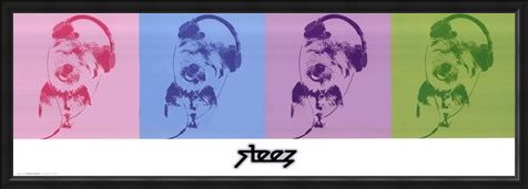 Framed Framed DJ Doggie Quad - Steez