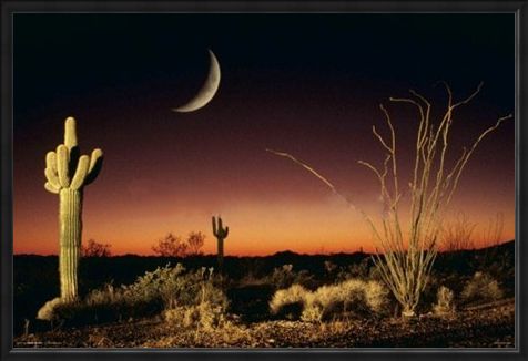 Framed Framed Desert Silhouette - Arizona Landscape