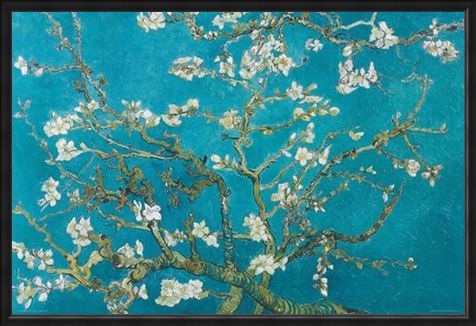 Framed Framed Almond Blossom (1890) - Vincent Van Gogh