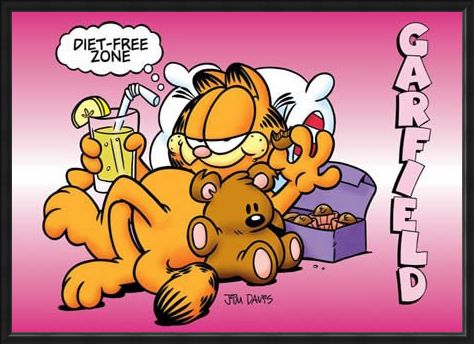 Framed Framed Diet Free Zone - Garfield